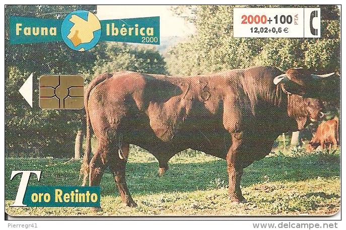 CARTE-PUCE-ESPAGNE-2000-TOROS-COMBAT-TBE - Koeien