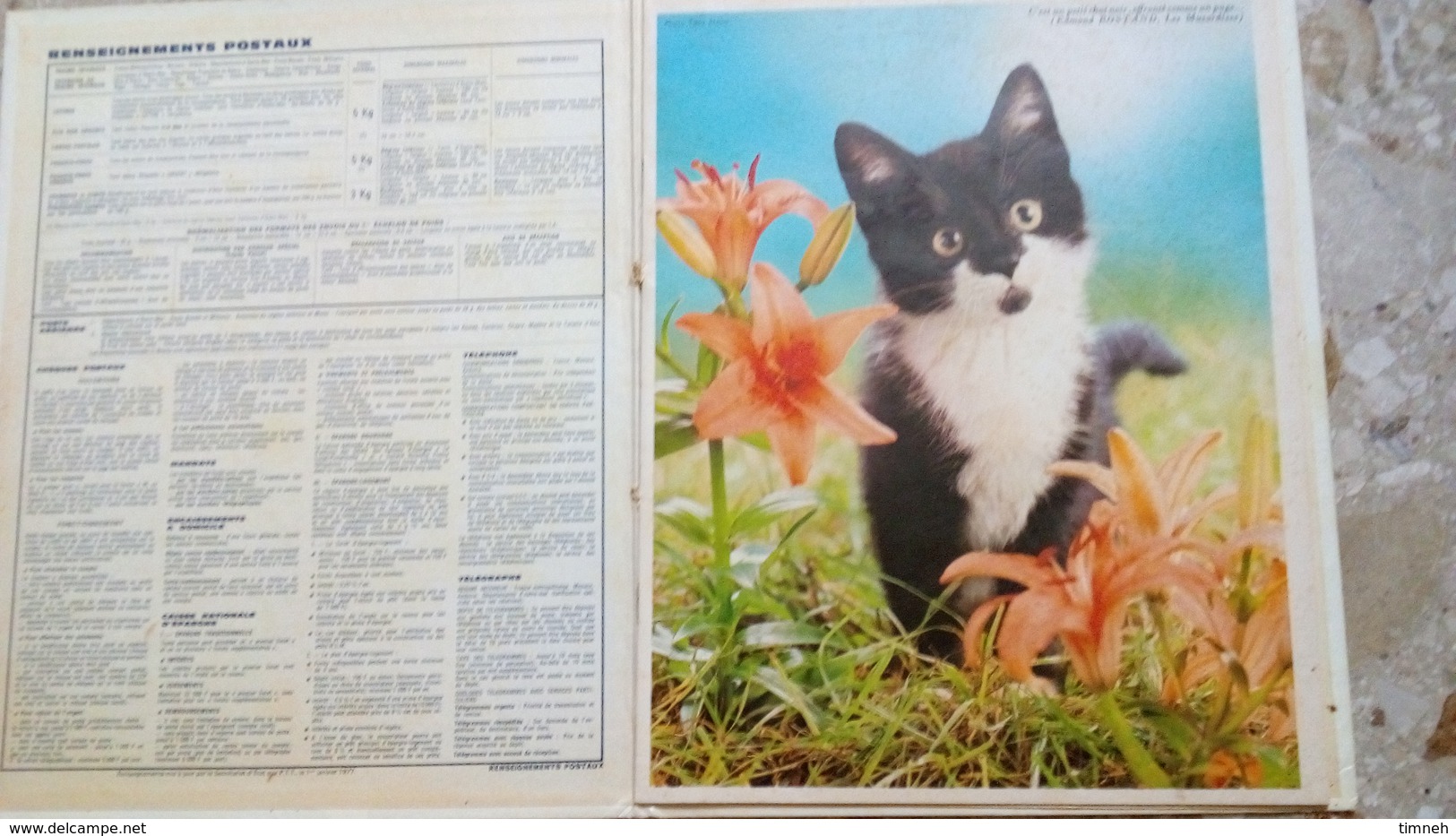 ALMANACH DES P.T.T 1978 -ENFANTS PONEY AGNEAU - CHAT - OISEAU - CHIOT -  LOIRET 45 - ORLEANS  - OBERTHUR Manque 2 Pages - Grossformat : 1971-80