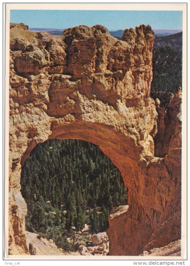 Natural Bridge, Bryce Canyon National Park, Utah, Unused Postcard [18864] - Bryce Canyon
