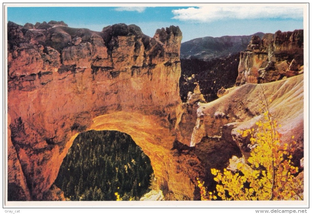 The Natural Bridge, Bryce Canyon National Park, Utah, Unused Postcard [18867] - Bryce Canyon