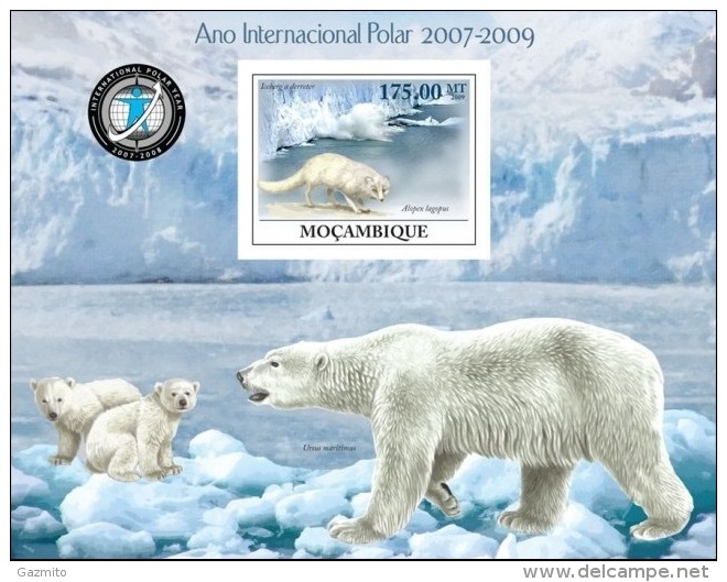 Mozambico 2009, International Polar Year, Polar Bears, BF IMPERFORATED - Antarktischen Tierwelt