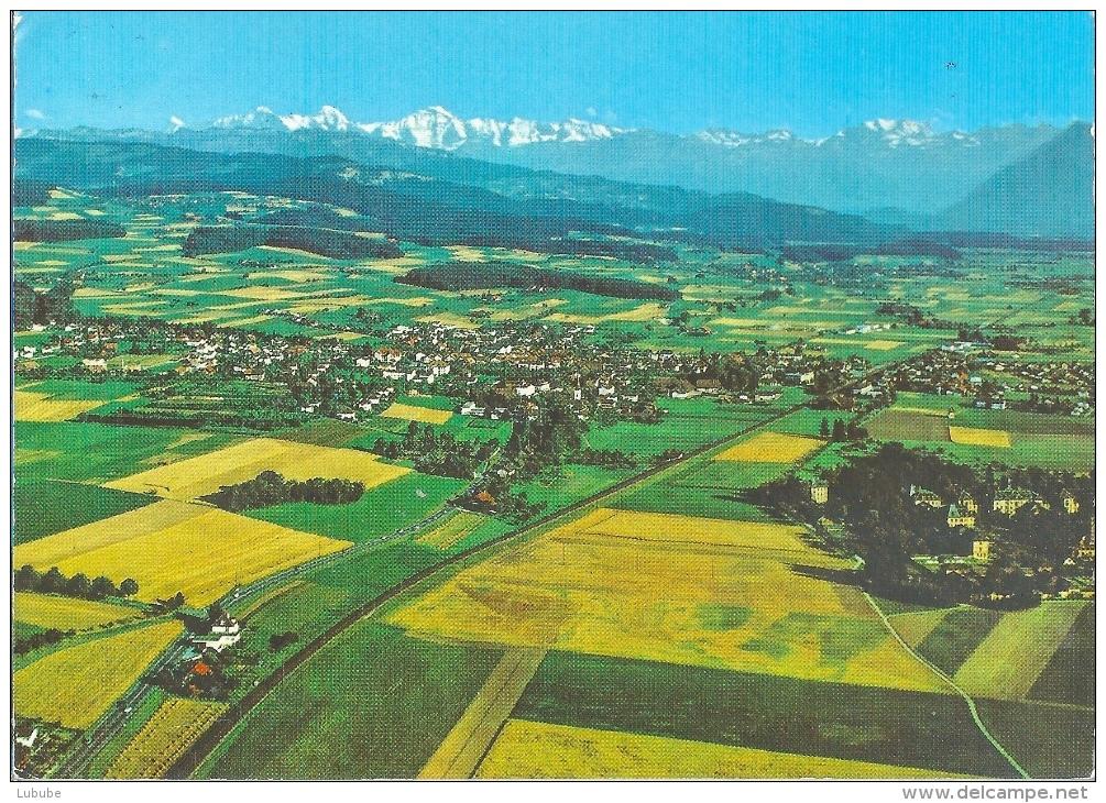 Münsingen - Luftbild Gegen Die Alpen         Ca. 1970 - Münsingen