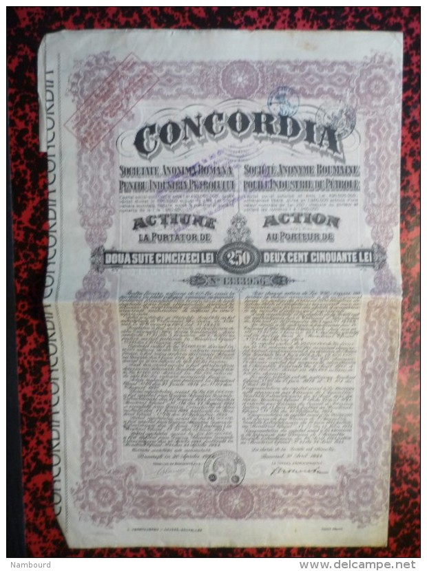 Concordia Actions de 250 Lei 30 Avril 1924 7 actions