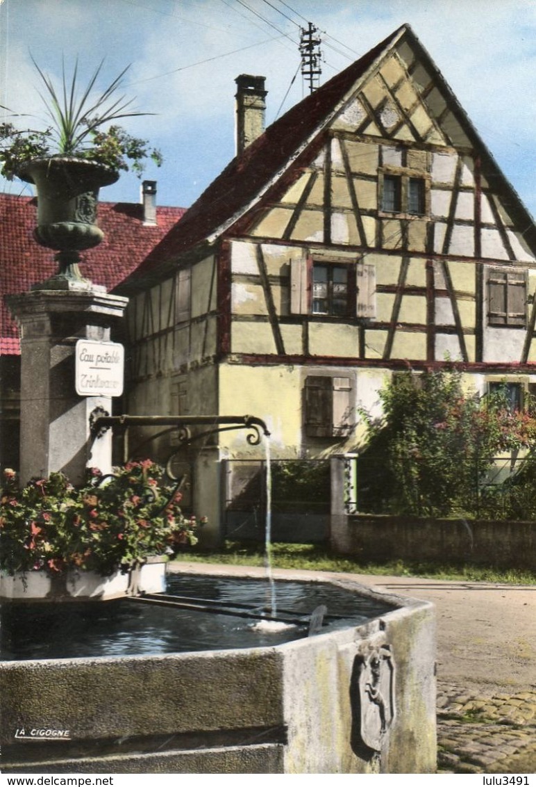 CPSM Dentelée - WINTZENHEIM (68) - Vue De La Vieille Maison Alsacienne à Côté De La Fontaine Dans Les Années 60 - Wintzenheim