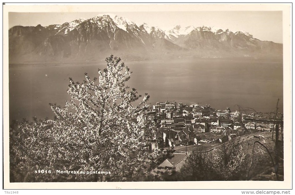 Schweiz, 1934, Clarens, Montreux Au Printemps Nach Steffisburg, Siehe Scans! - Steffisburg