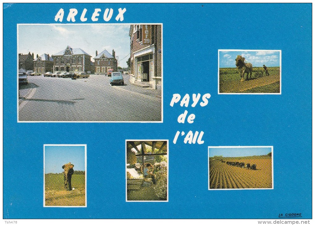 59----ARLEUX---pays De L'ail--multi-vues--voir  2 Scans - Arleux