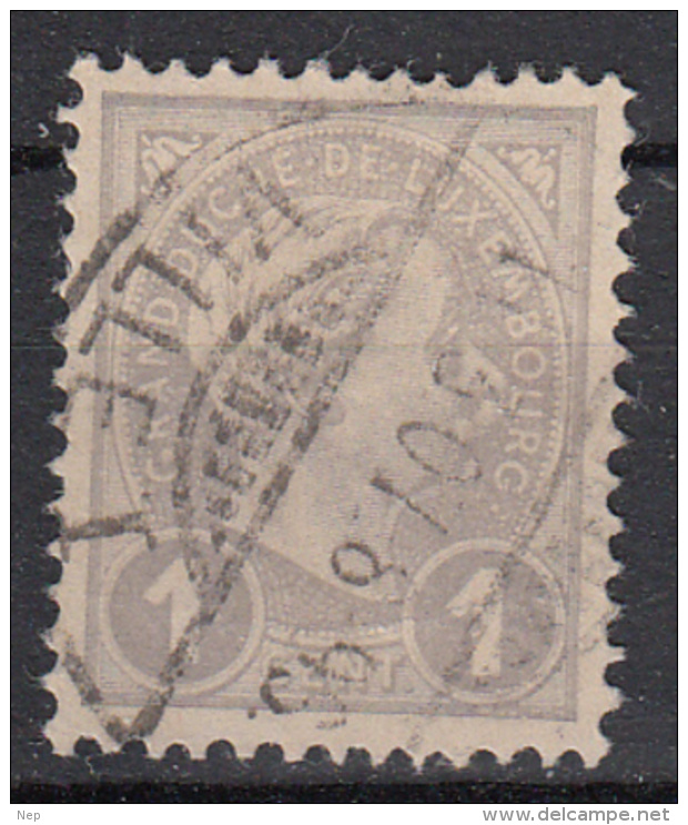 LUXEMBURG - Michel - 1895 - Nr 67 - Gest/Obl/Us - 1895 Adolphe De Profil