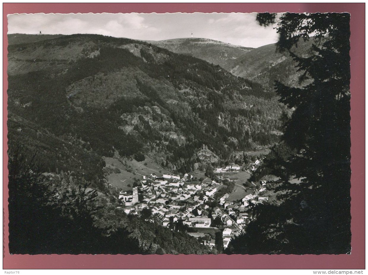 CPM Allemagne TODTNAU Schwarzwald Mit Feldbergblick - Todtnau