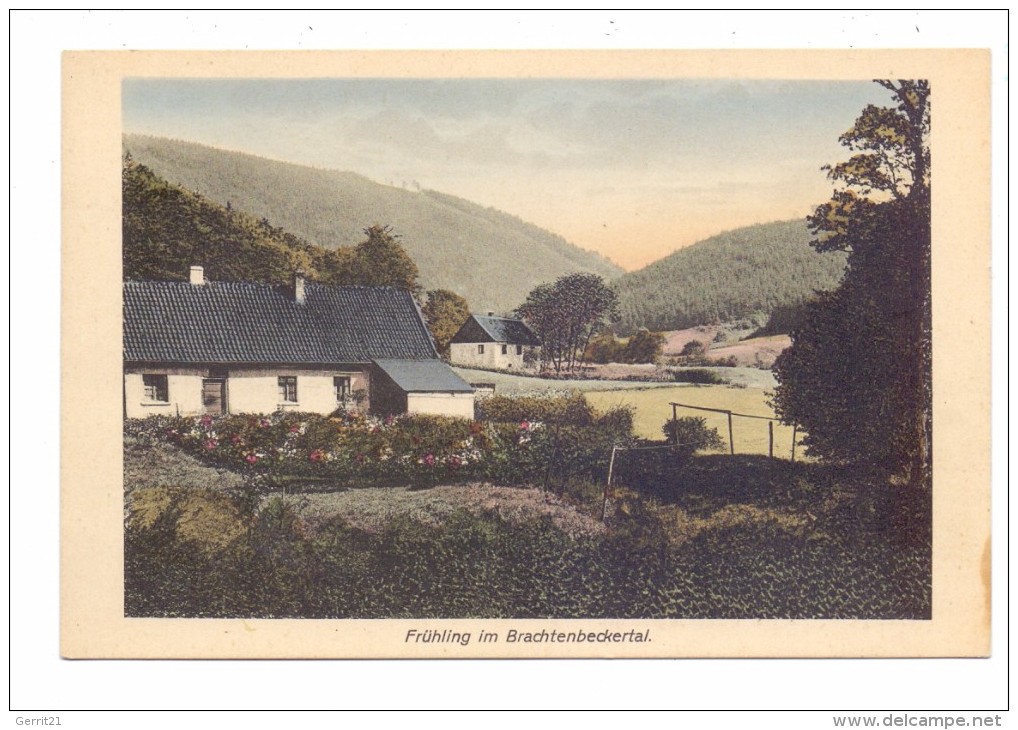 5990 ALTENA - BRACHTENBECK, Brachtenbeckertal - Altena