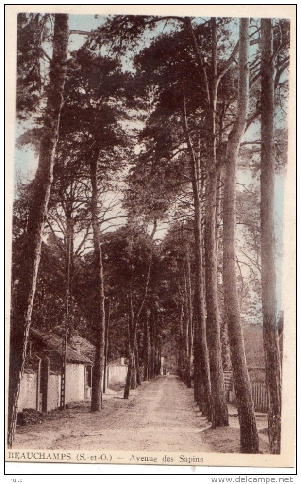 BEAUCHAMPS AVENUE DES SAPINS - Beauchamp