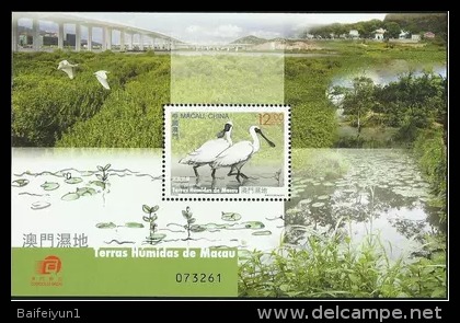 China Macau 2015 S/S Macao Wetlands Bird Stamp - Unused Stamps