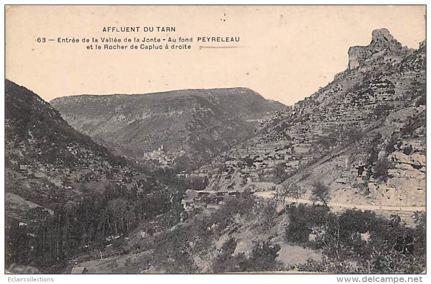 Peyreleau     12        Vue Générale Et Le Rocher De Capluc - Autres & Non Classés