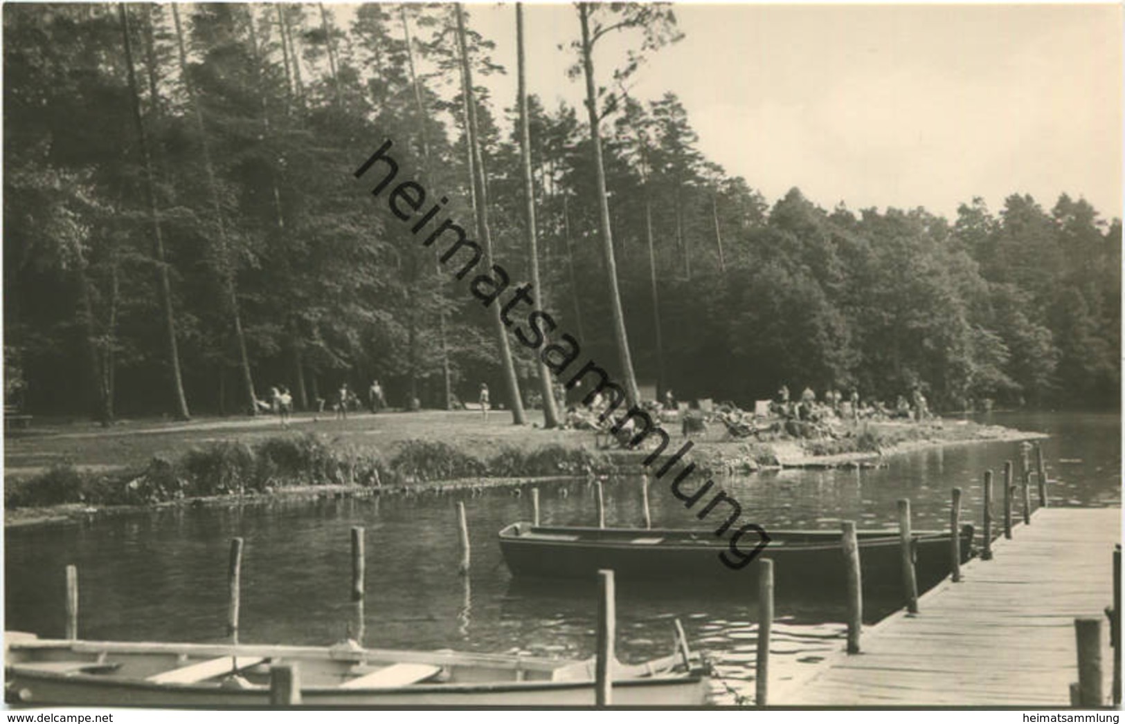 Neuglobsow - Am Grossen Stechlin-See - Foto-AK 60er Jahre - VEB Bild Und Heimat Reichenbach - Neuglobsow