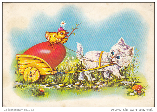 49984- CHICKEN, CAT, CART, EASTER EGG, MUSHROOMS - Paddestoelen