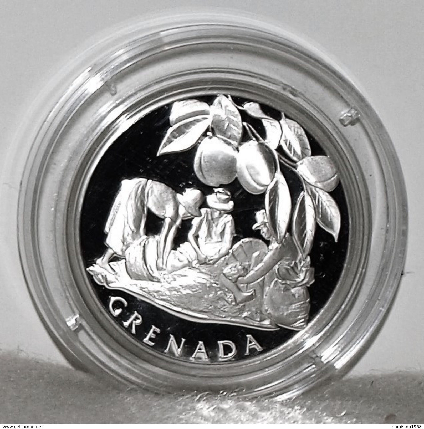 Proof/PP Silber/Silver Medal/Medaille UN/UNO Zu Ehren Von/Tribute To Grenada, 1978 - Other - Oceania