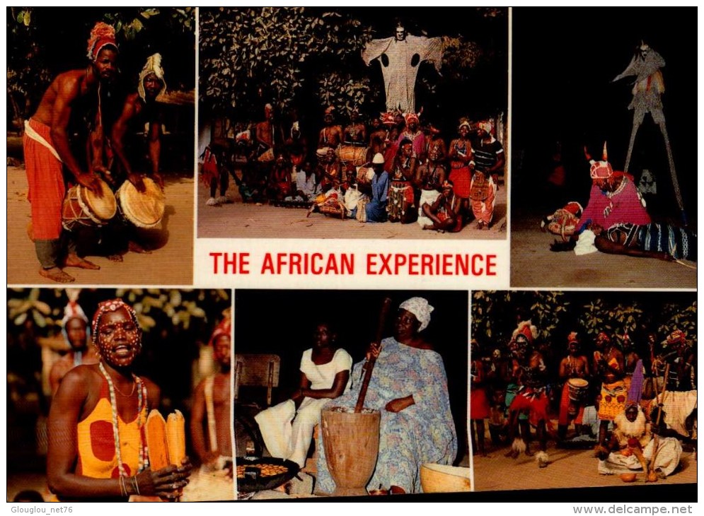 THE GAMBIA...THE AFRICAN EXPERIENCE....6 VUES....CPM ANIMEE - Gambia