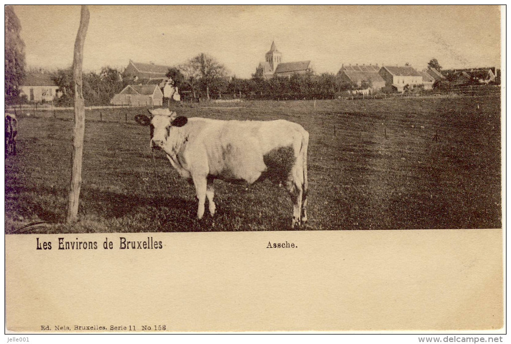 Assche Asse Les Environs De Bruxelles (panorama) - Asse