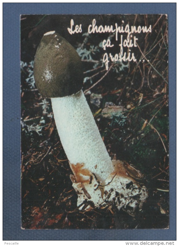 CP LES CHAMPIGNONS CA FAIT GROSSIR ... - COLLECTION ORION PARIS N° 8015 - Paddestoelen