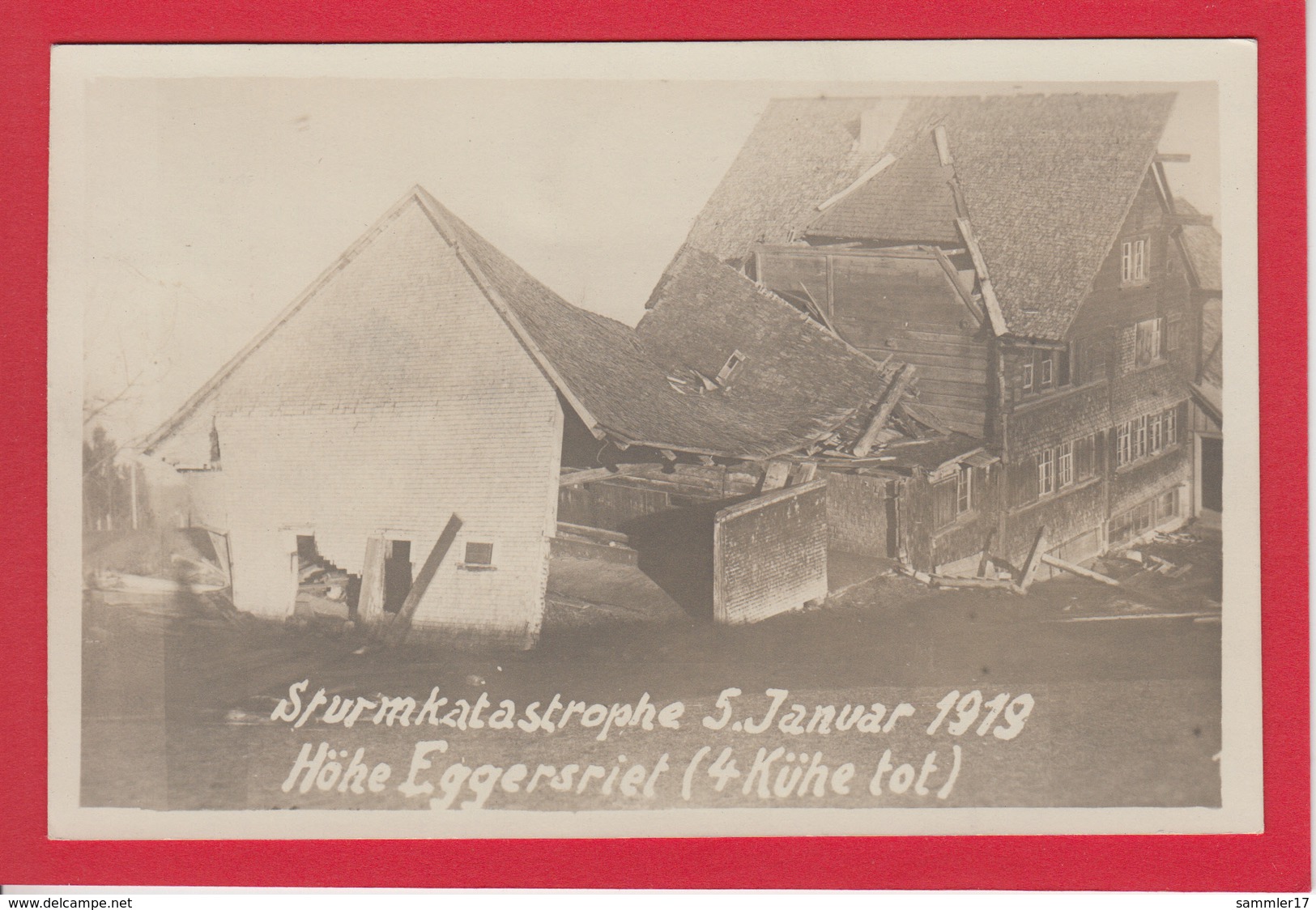 EGGERSRIET HÖHE, STURMKATASTROPHE 1919 - Eggersriet