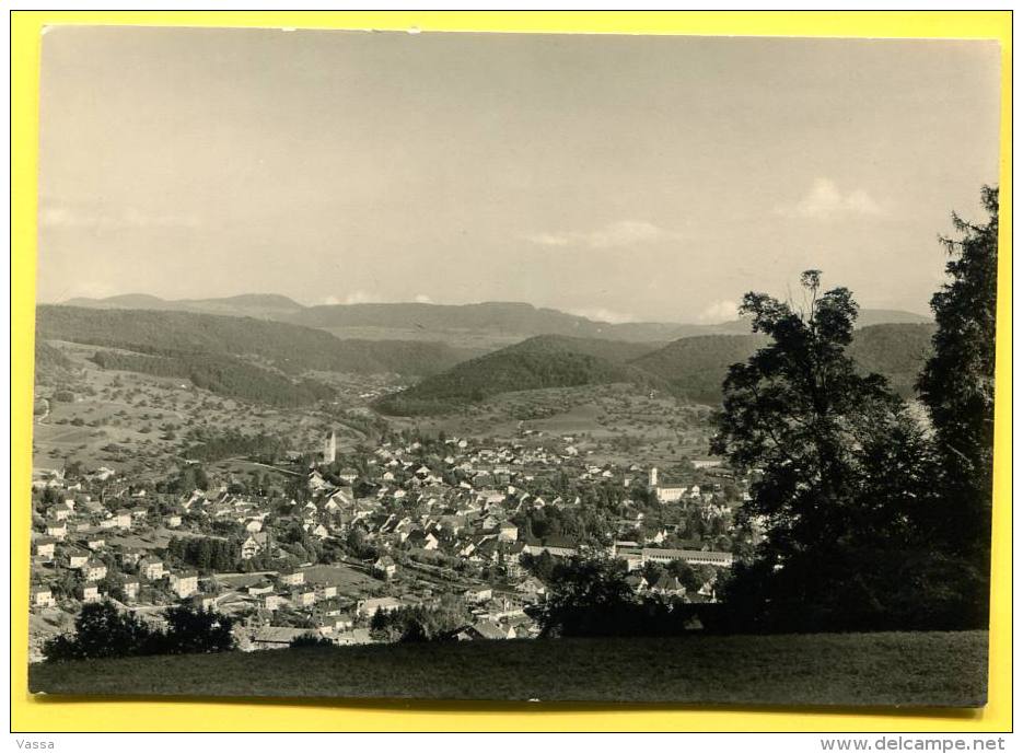 BLICK VOM SONNENHOF  - GELTERKINDEN . Ed. Ernst Ammann .SUISSE - Gelterkinden