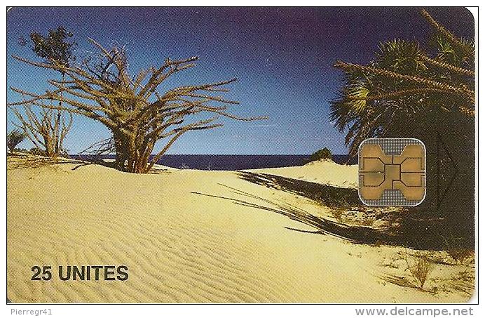 CARTE PUCE-25U-OB2-MADAGASCAR-ALLEE Vers Le CANAL Du MOZAMBIQUE-TBE - Madagaskar