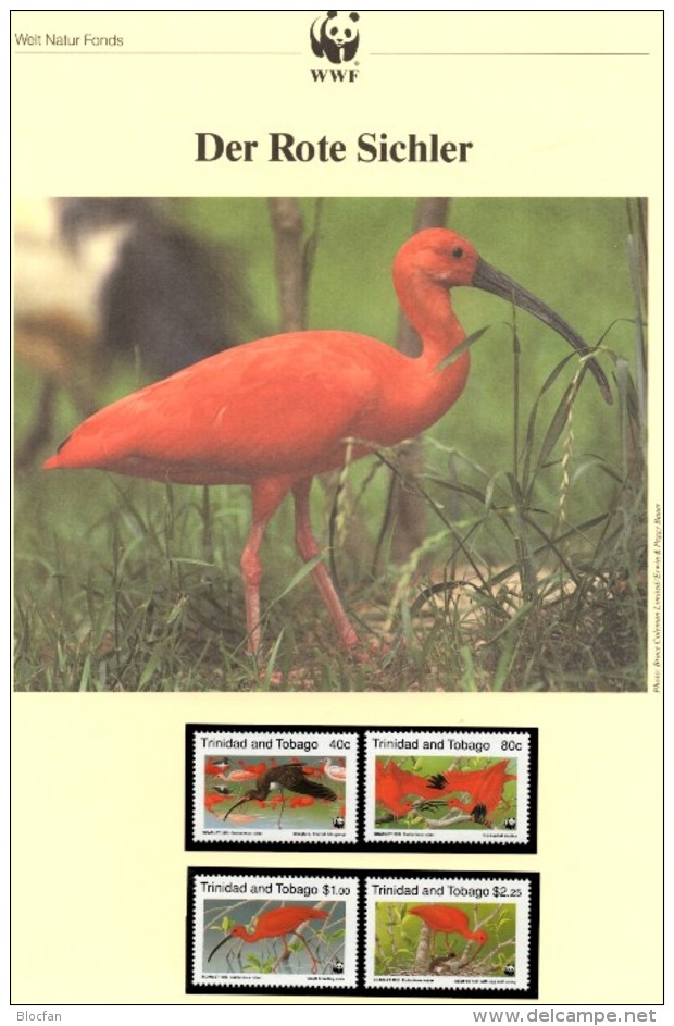 WWF-Set 101 Rotsichler TRINIDAD 596/9 **/FDC/MC 77€ Naturschutz Dokumentation 1990 Wildlife Birds Stamps Fauna Of TOBAGO - Flamingos