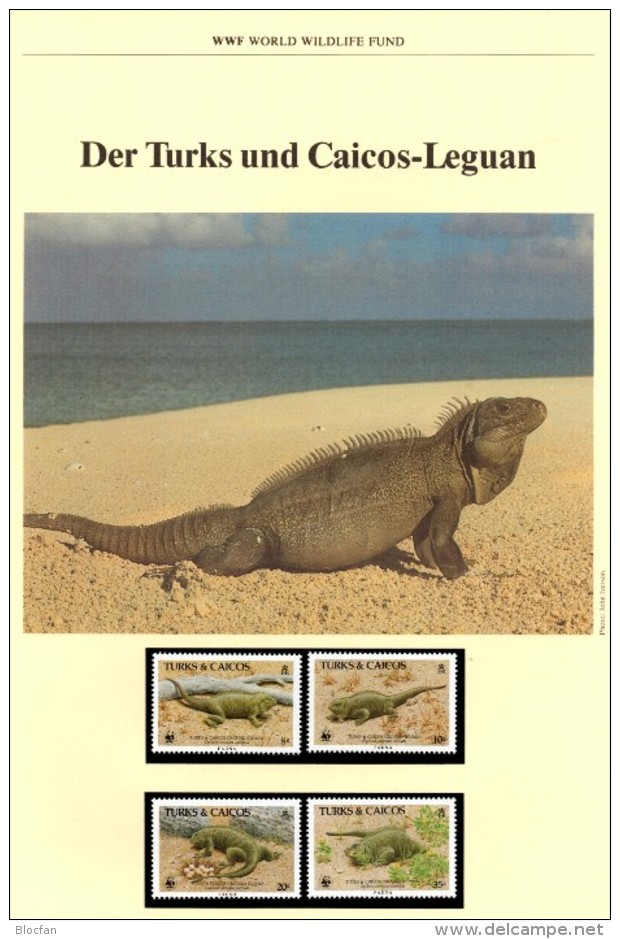 WWF-Set 42 Leguan Turks Caicos 777/0 ** 21€ Naturschutz Caicosleguan Dokumentation 1986 Wildlife Fauna Stamps Of America - Turks & Caicos (I. Turques Et Caïques)