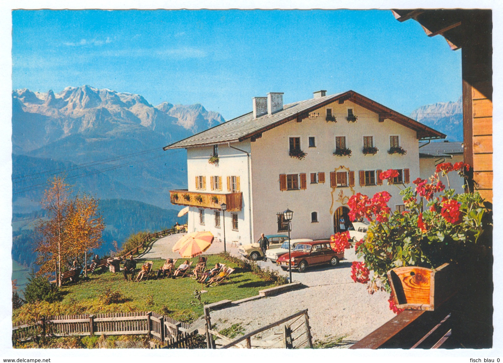 AK Salzburg 5453 Werfenweng Im Pongau Alpengasthof Steinberghof Fuchs Gebirge I. Gasthof Gasthaus Österreich Hans Dankl - Werfen