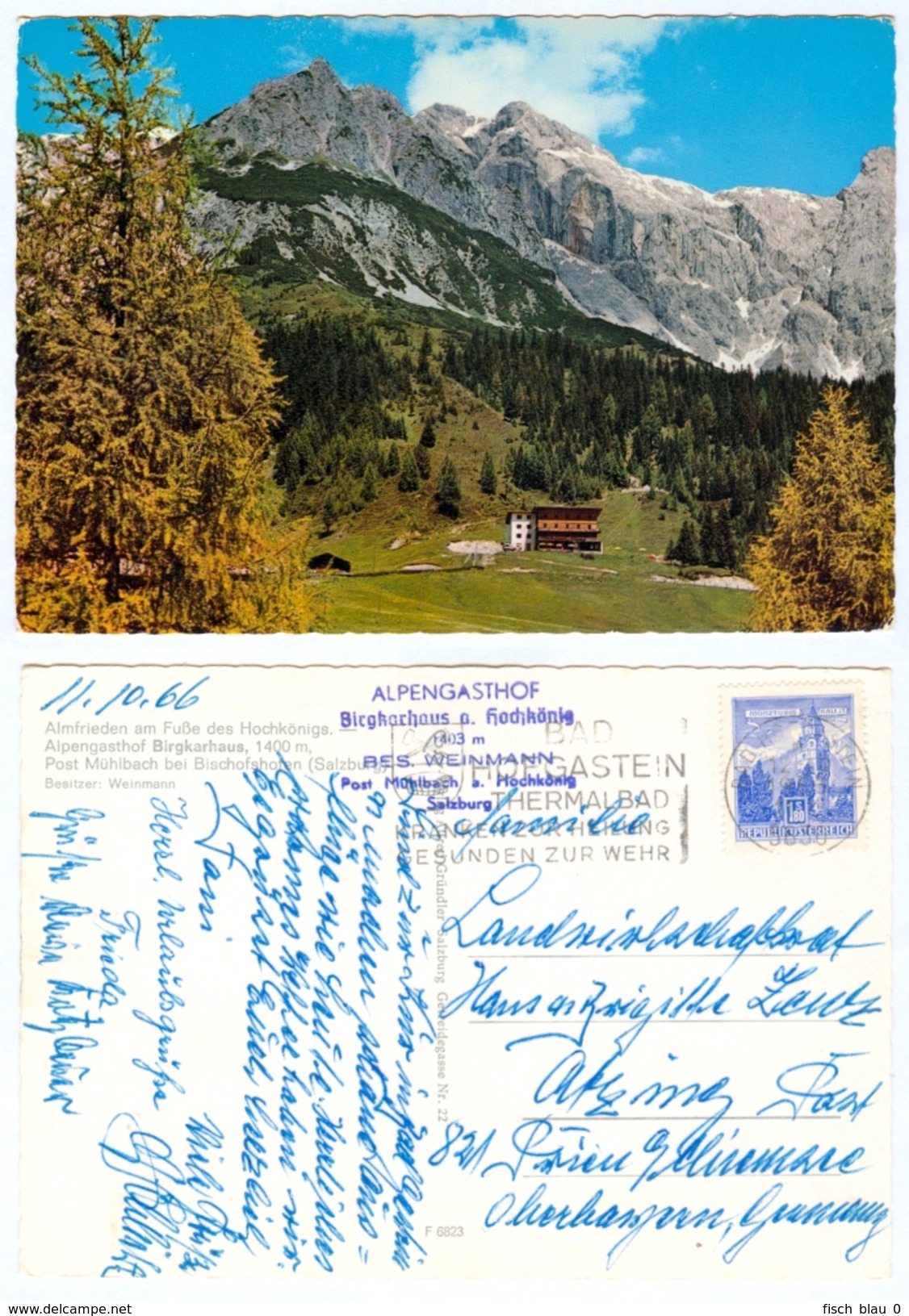 AK Salzburg 5505 Mühlbach Am Hochkönig Bei Bischofshofen Gasthof Alpengasthof Birgkarhaus 1966 Weinmann A.Pongau Austria - Mühlbach Am Hochkönig