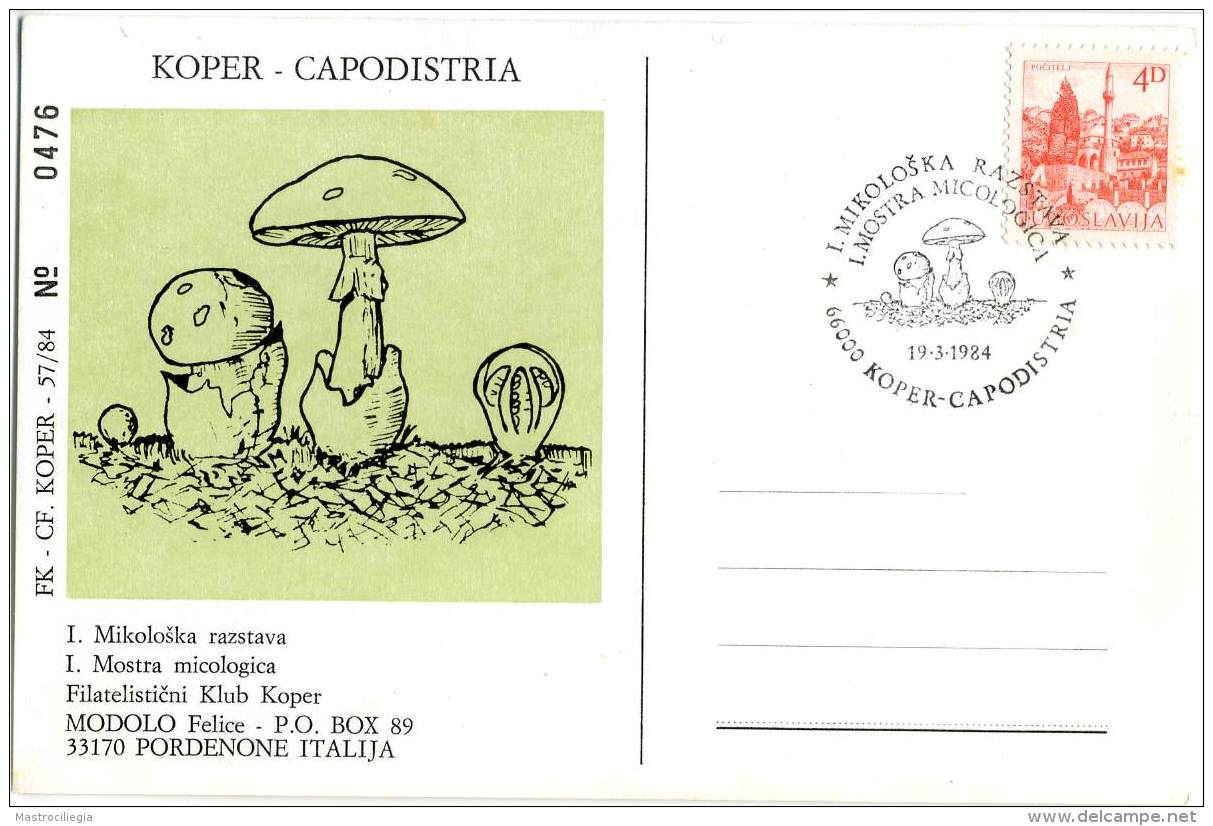 FUNGHI  Champignon  Mushrooms  Mikoloska Razstava Koper Slovenja  Mycological Exhibition  Marcofilia - Paddestoelen