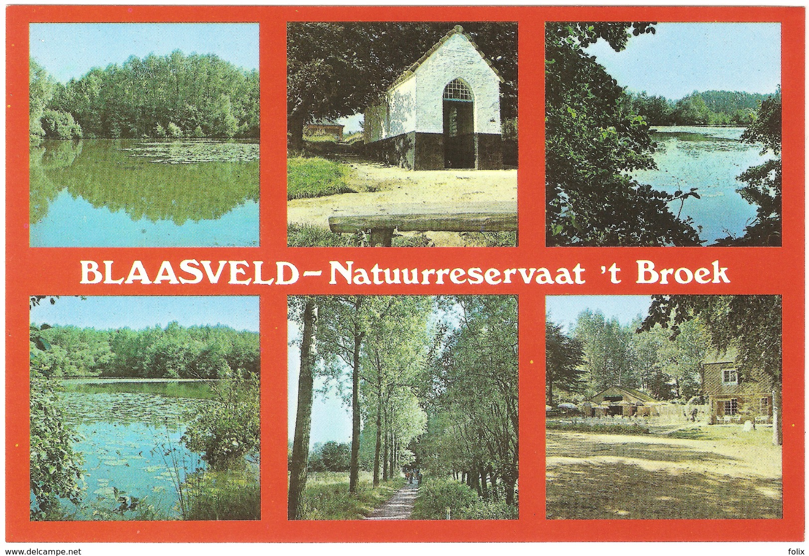 Blaasveld - Natuurreservaat 't Broek - Willebrök