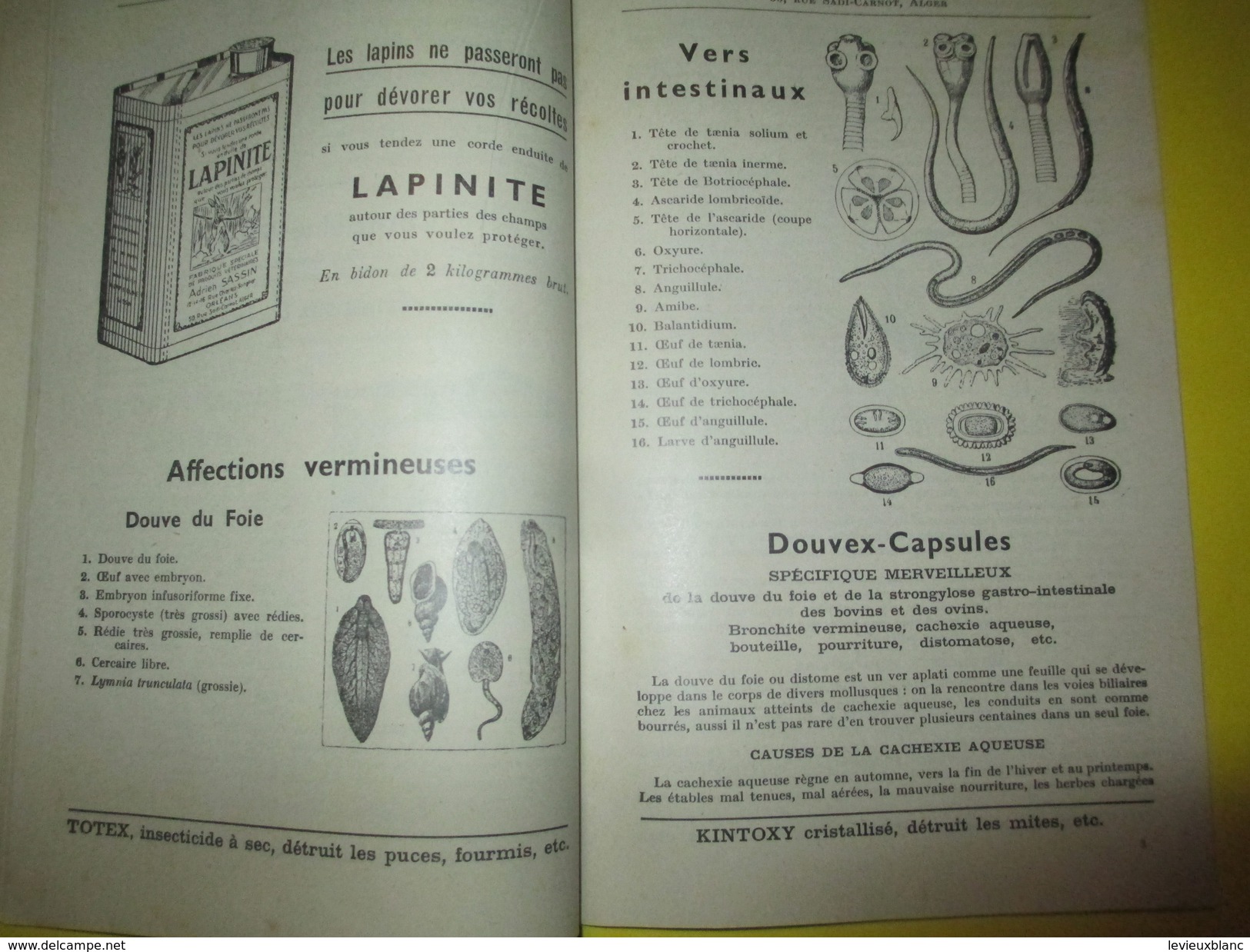Elevage/Catalogue / Fabrique Spéciale De Produits Vétérinaires/Adrien Sassin/ ORLEANS / ALGER/ 1955          CAT158 - Agricultura