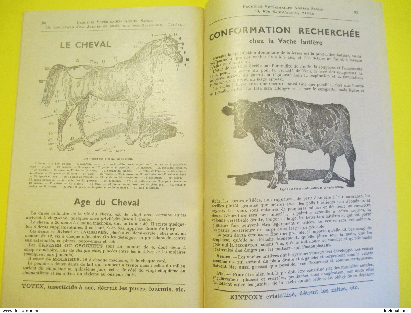 Elevage/Catalogue / Fabrique spéciale de Produits Vétérinaires/Adrien Sassin/ ORLEANS / ALGER/ 1955          CAT158