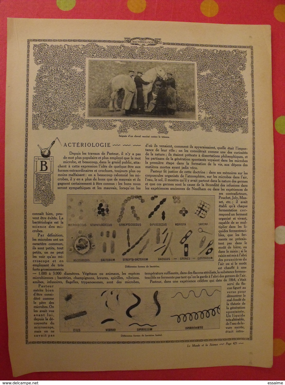 Le Monde Et La Science 1935. Bactériologie Beurre Margarine Café Champagne Chauffage. Nombreuses Photos Encyclopédie - Encyclopédies