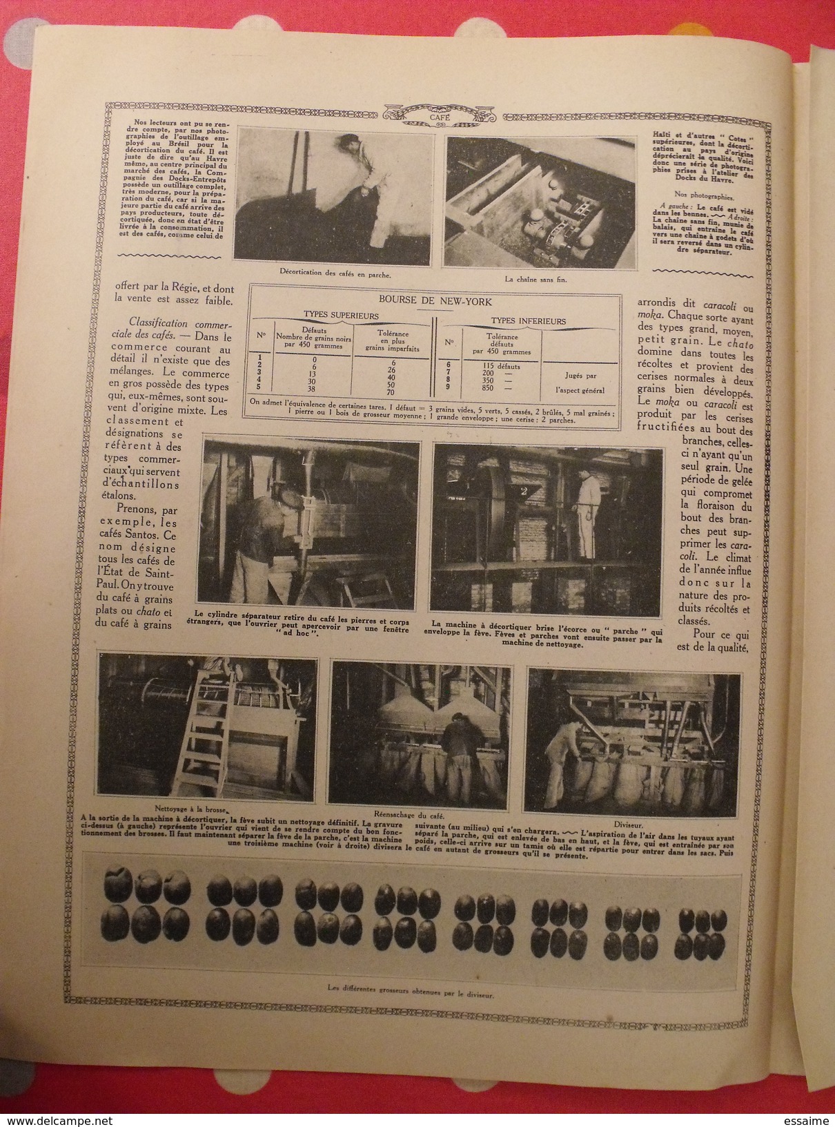 Le monde et la science 1935. bactériologie beurre margarine café champagne chauffage. nombreuses photos encyclopédie