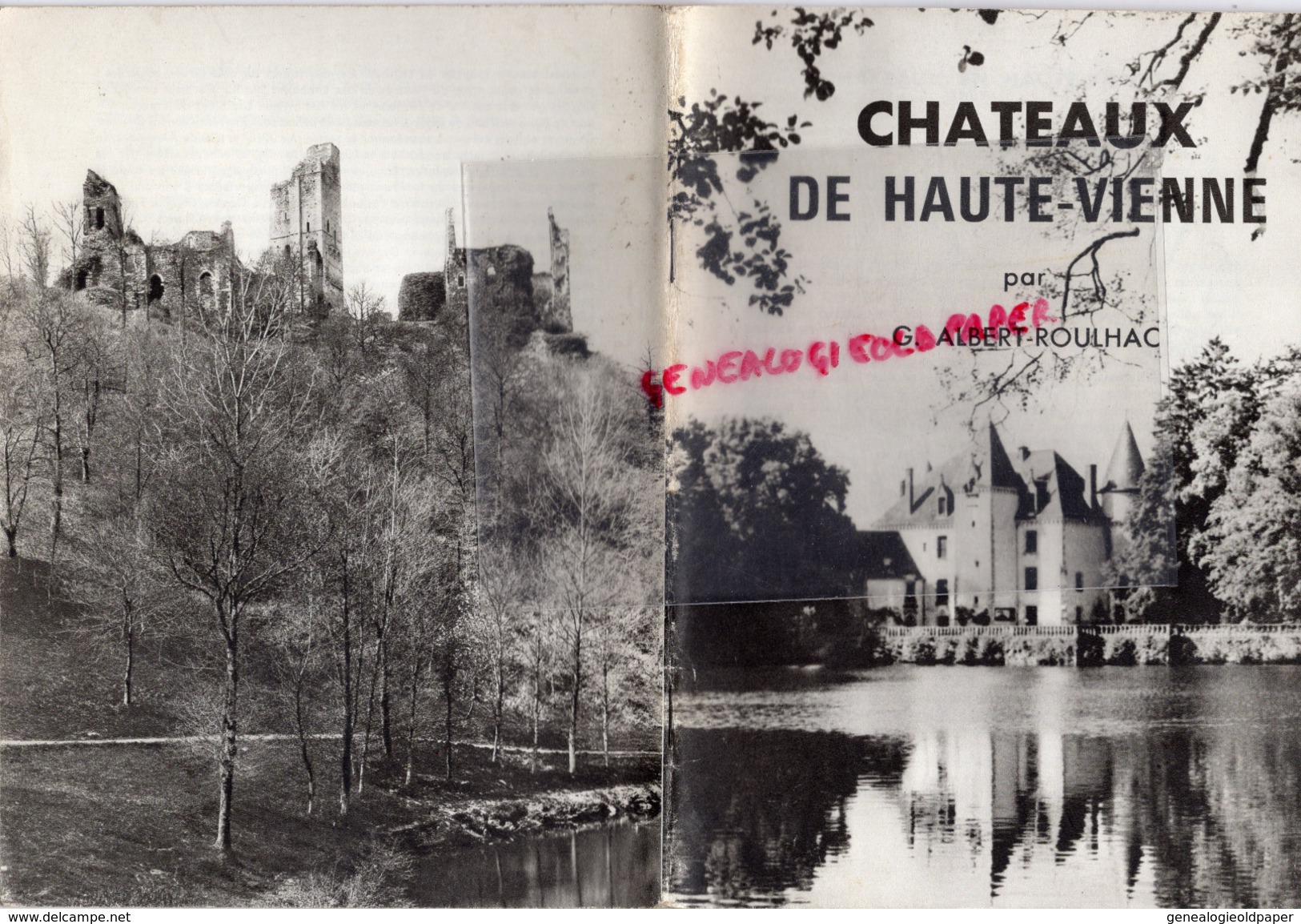 87 - CHATEAUX EN HAUTE VIENNE- ALBERT ROULHAC-BRIE-CHALUS-MONTBRUN BALLERAND-FROMENTAL-LA COTE-LA COSSE-THOURON - Limousin