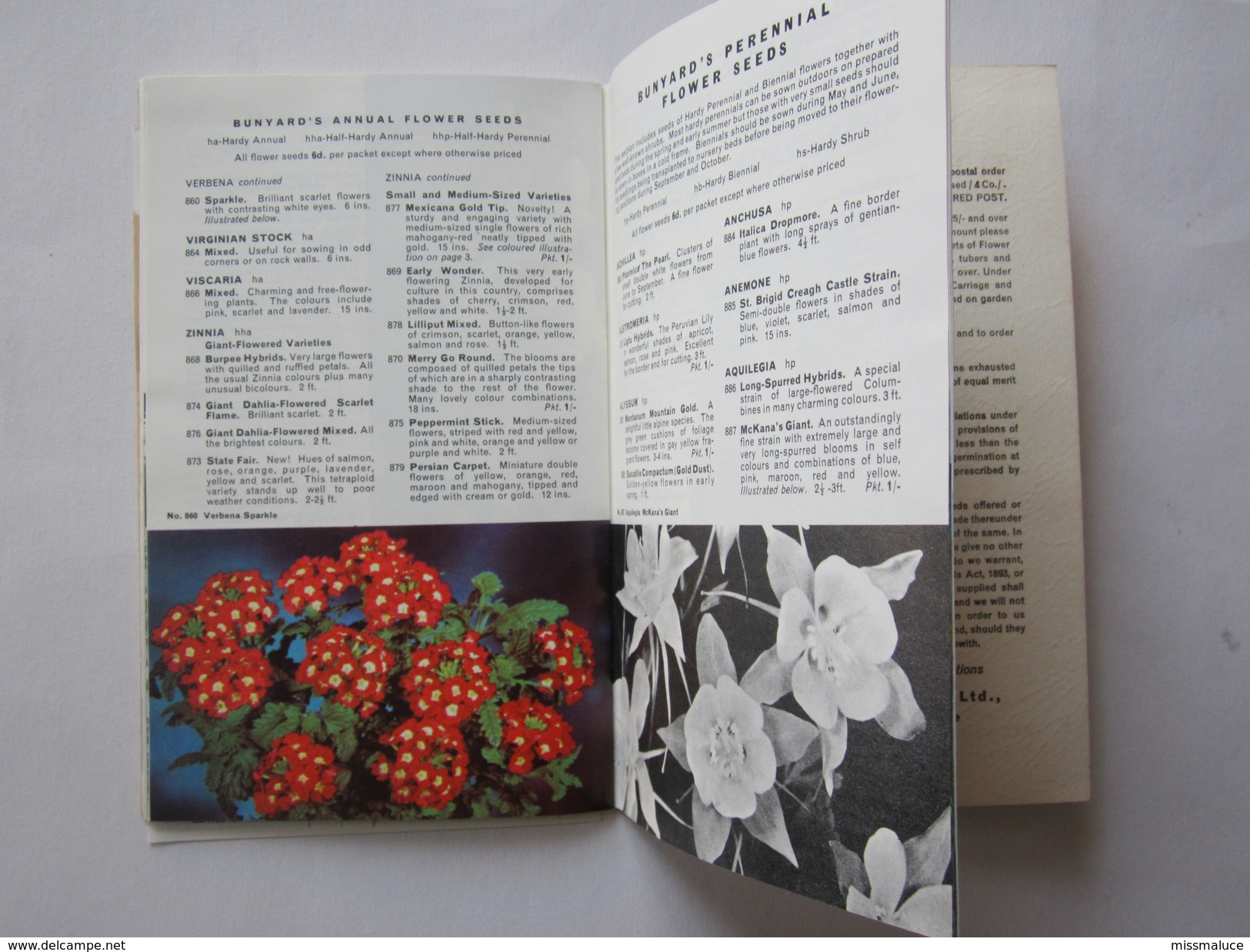 Publicité Jardin Jardinage Bunyards Seed Book Maidstone Kent - Jardinage