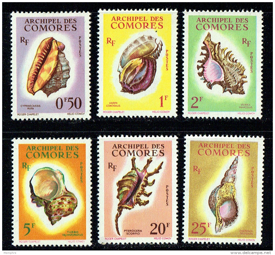1962  Coquillages  Série Complète Yv 19-24 * - Nuevos