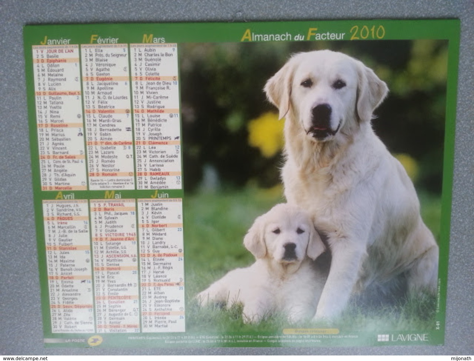 Vp-France-Calendrier 2010 Almanach Du Facteur - Golden Retriever - Bouvier Bernois - Groot Formaat: ...-1900