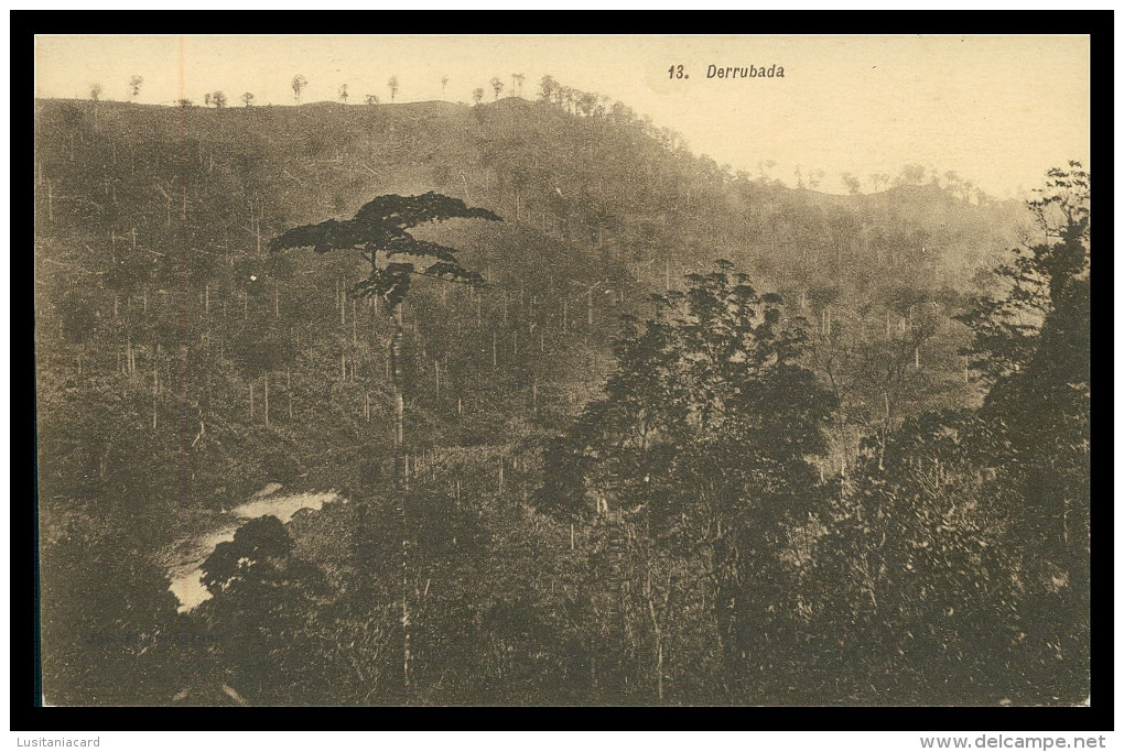 SÃO TOMÉ E PRÍNCIPE - Derrubada (  Nº 13)carte Postale - Sao Tome And Principe