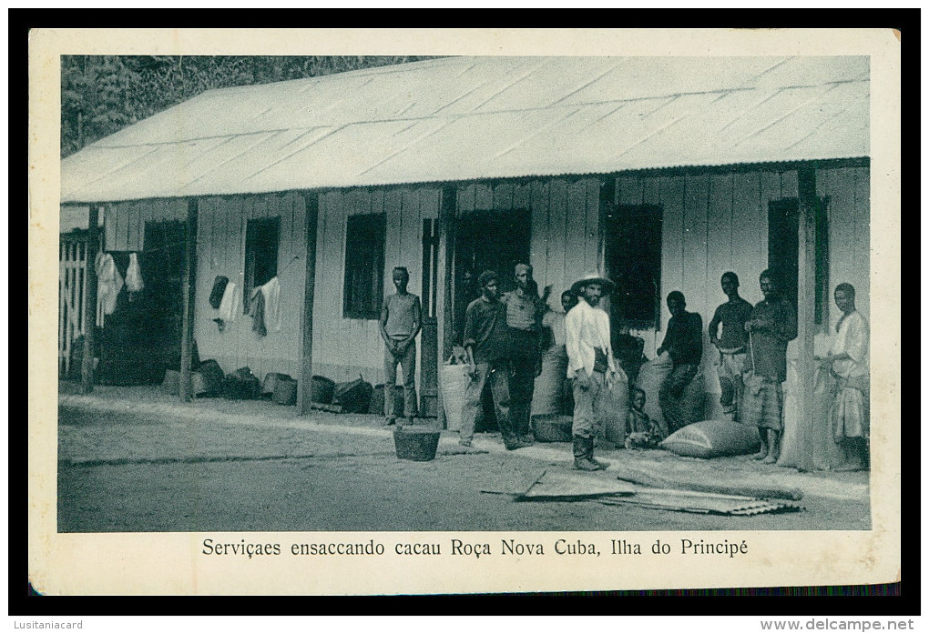 SÃO TOMÉ E PRÍNCIPE - Sevicaes Ensacando Cacau Roça Nova Cuba( Ed. José Teixeira Barboza) Carte Postale - Sao Tome And Principe