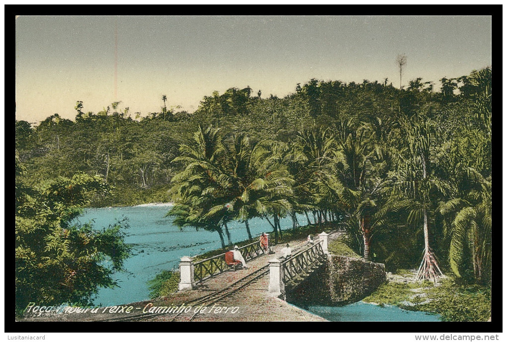 SÃO TOMÉ E PRÍNCIPE-  Roça Ribeira Peixe - Caminho De Ferro  (Ed. Auspicio Menezes Nº T 762) Carte Postale - Sao Tome And Principe