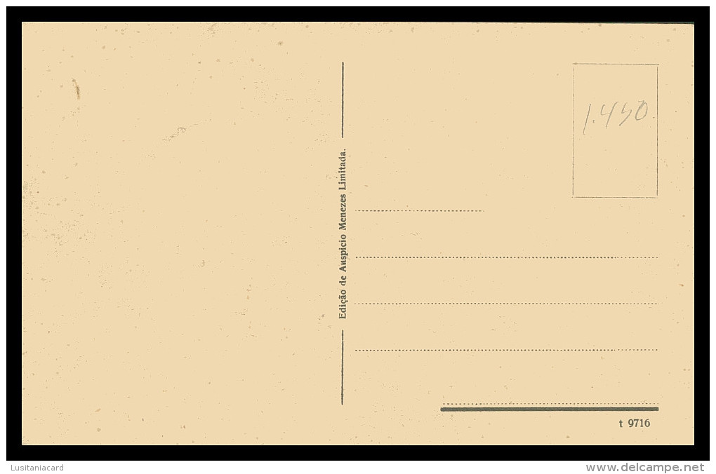 SÃO TOMÉ E PRÍNCIPE - Roça S. Miguel- Bambus Da Praia(Ed. Auspicio Menezes Nº T 9716) Carte Postale - Sao Tome And Principe