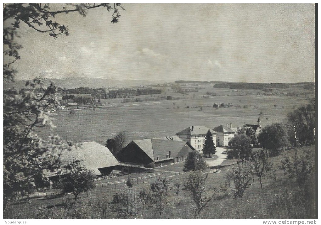 Institut St-Nicolas - Drognens - Siviriez, Fbg - Carte 15 X 10,5 - Timbre De 1949, Pont-digue à Mélide "25" - Siviriez