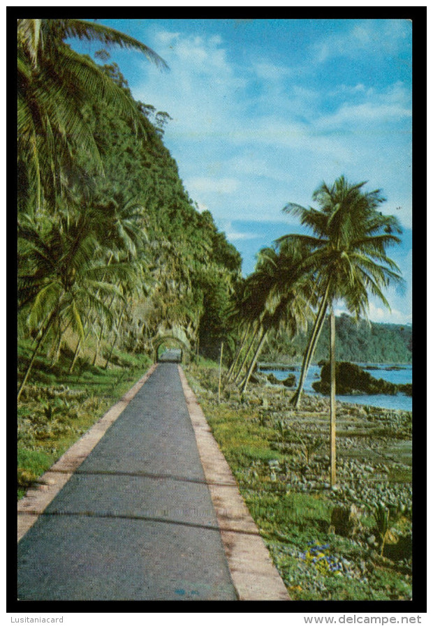 SÃO TOMÉ E PRÍNCIPE - Estrada Para Santa Catarina .  Carte Postale - São Tomé Und Príncipe