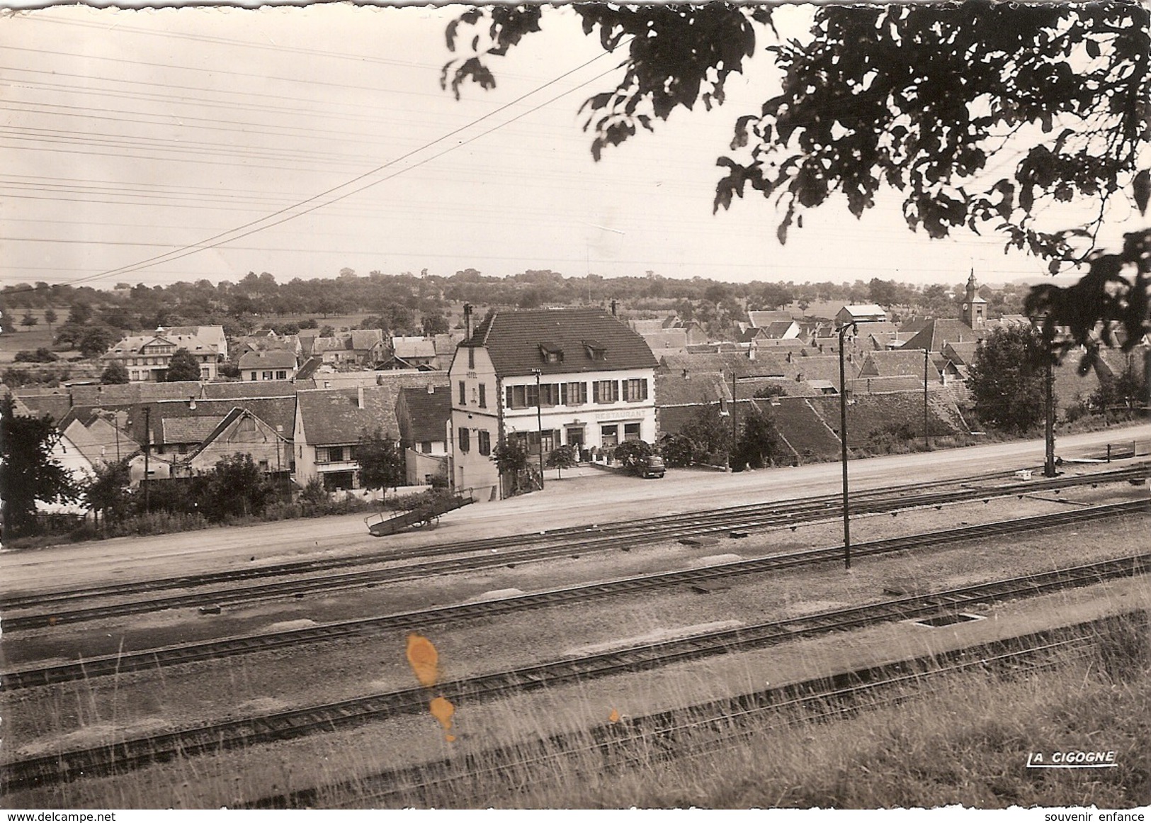 CP Diemerigen Vue Générale  67 Bas Rhin Restaurant  Chemins De Fer - Diemeringen