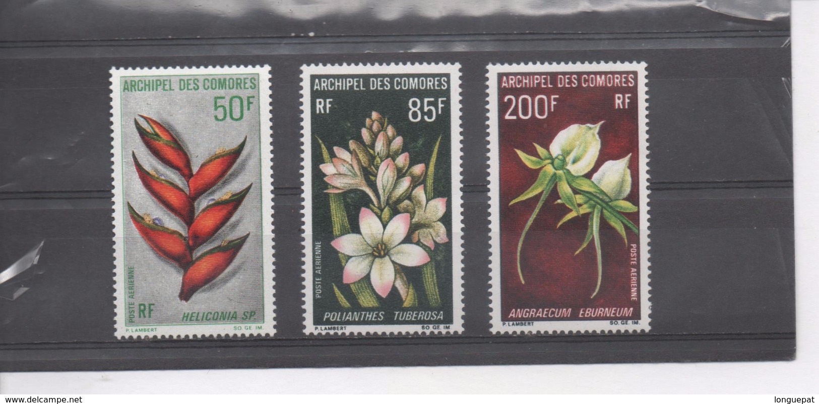 Comores -  Flore - Fleurs : Heliconia (Balisier), Polianthes Tuberosa,, Angraecum Eburneum (orchidées) - Airmail