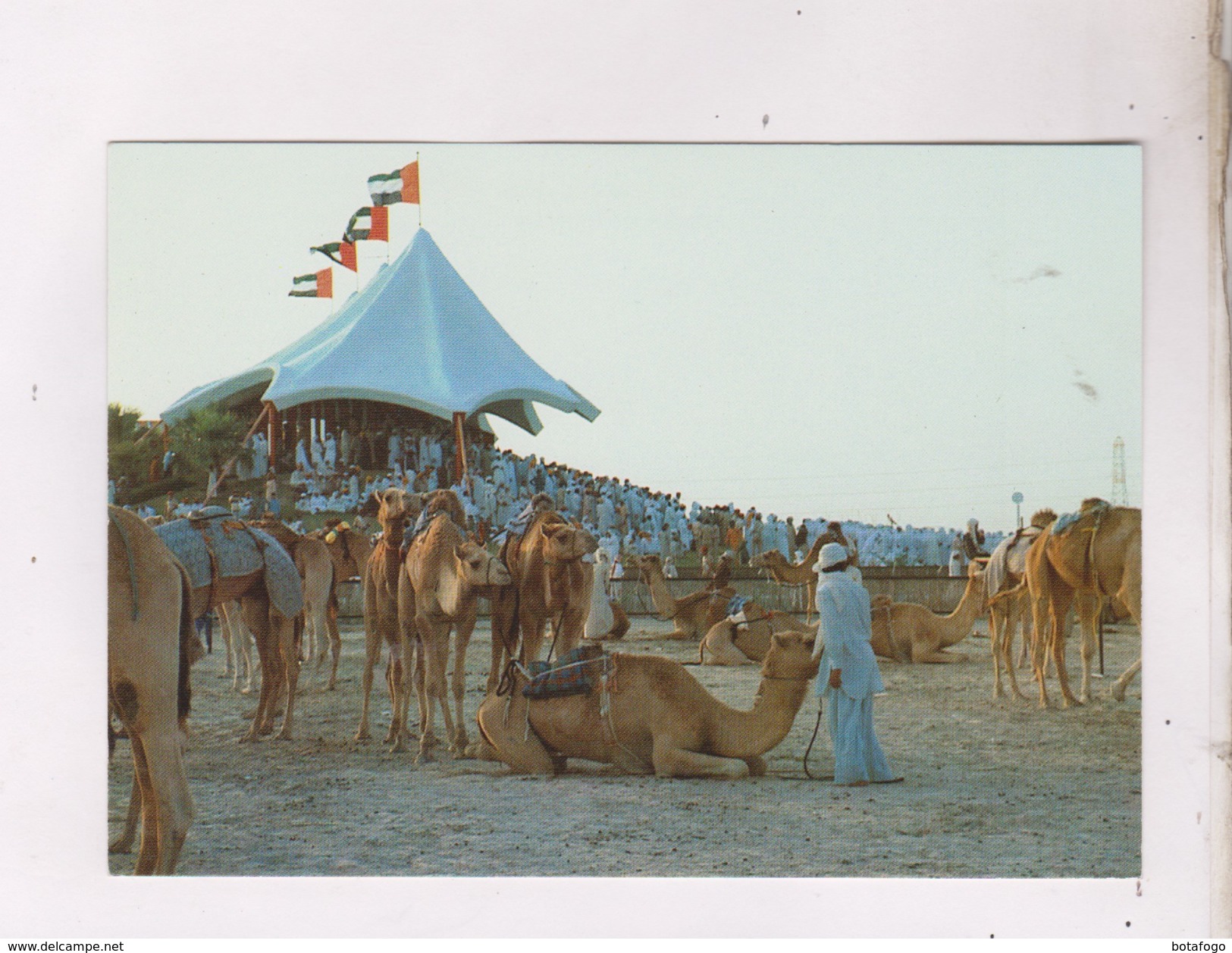 CPM UNITED ARAB EMIRATES, CAMEL RACE - Verenigde Arabische Emiraten