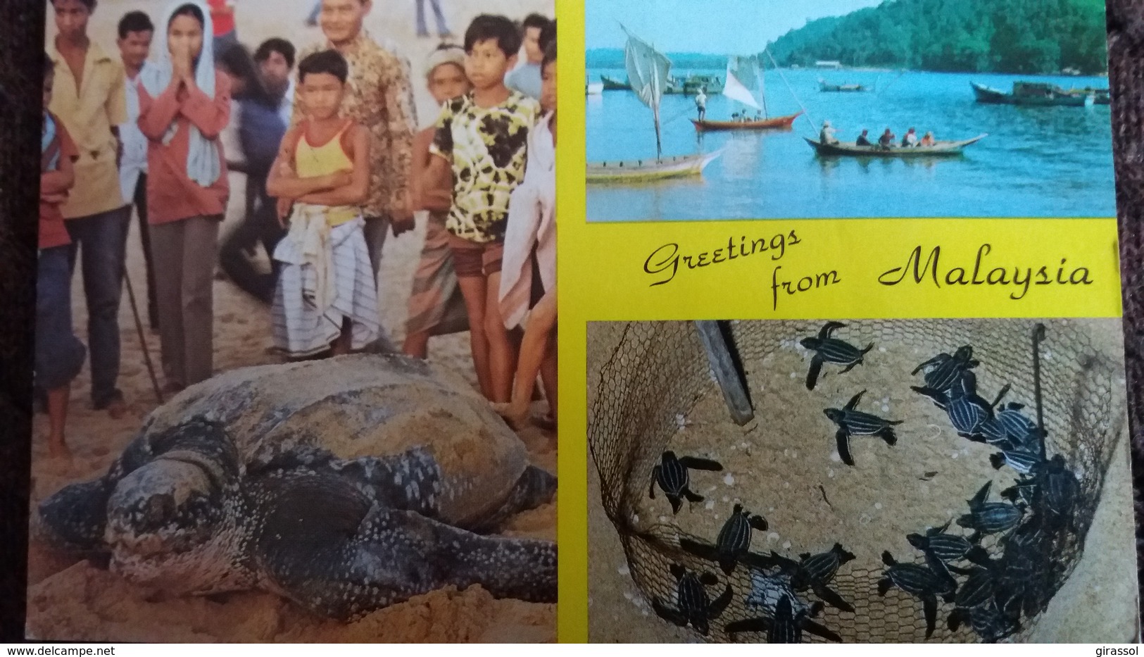 CPSM TORTUE TURTLE WATCHING FISHING HARBOUR MALAYSIA - Tortues