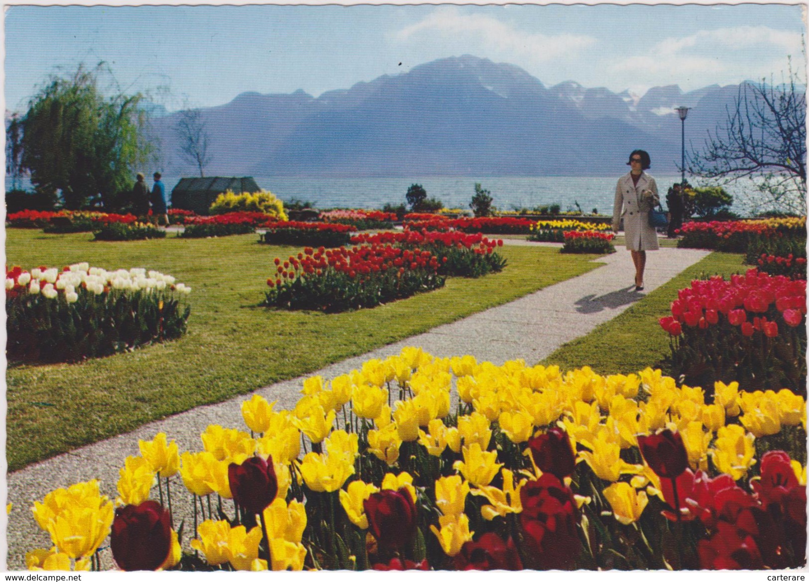 SUISSE,SCHWEIZ,SVIZZERA,SWITZERLAND,HELVETIA,SWISS ,VAUD,MONTREUX,fleurs,tulipes - Montreux